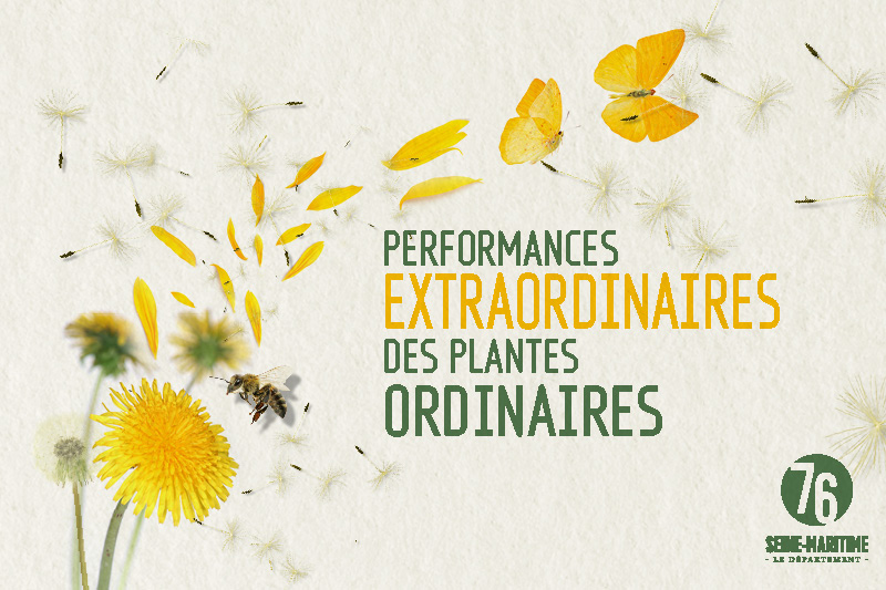 Exposition performances extraordinaires des plantes ordinaires